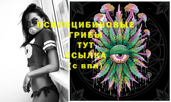 дурь Абаза