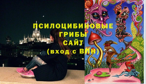 дурь Абаза