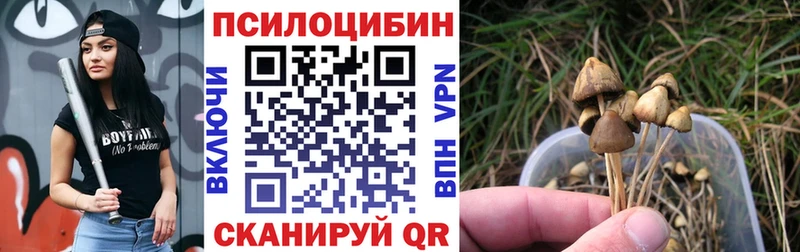Галлюциногенные грибы Psilocybe  магазин  наркотиков  Нахабино 